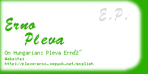 erno pleva business card